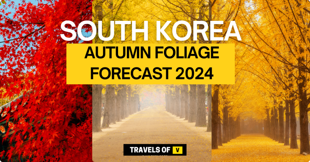 Autumn in Korea 2024 Foliage Forecast